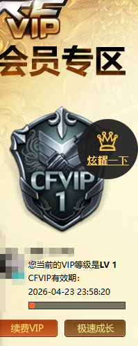 CFQM463034穿越火线账号详情图4