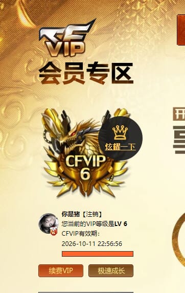 CFQM463199穿越火线账号详情图7