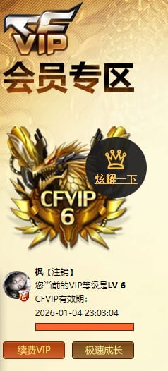 CFQM463207穿越火线账号详情图7 CFQM463207穿越火线账号详情图7