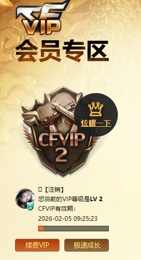 CFQM463215穿越火线账号详情图5