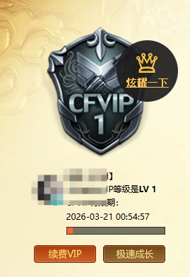 CFQM463564穿越火线账号详情图8