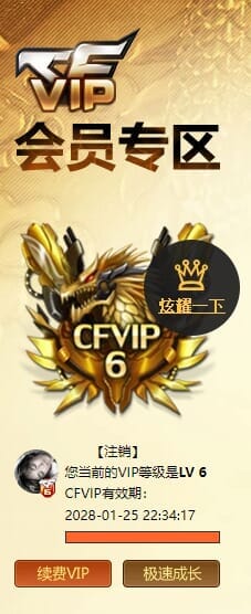 CFQM463840穿越火线账号详情图6