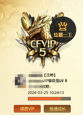 CFQM463960穿越火线账号详情图10 CFQM463960穿越火线账号详情图10