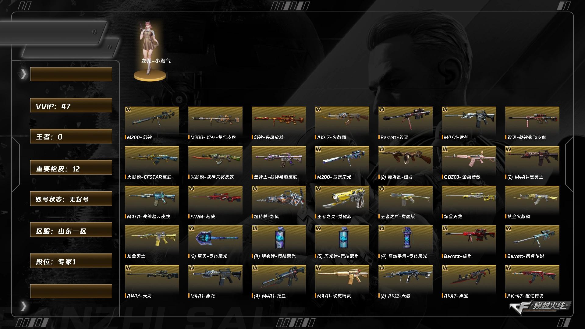 穿越火线账号北部战区山东一区5648/北部/山东一区/可排位/【专家1】/【Lv.100 元首】/VIP1/47V/幻神/幻神丹