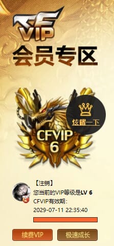 CFQM463966穿越火线账号详情图5