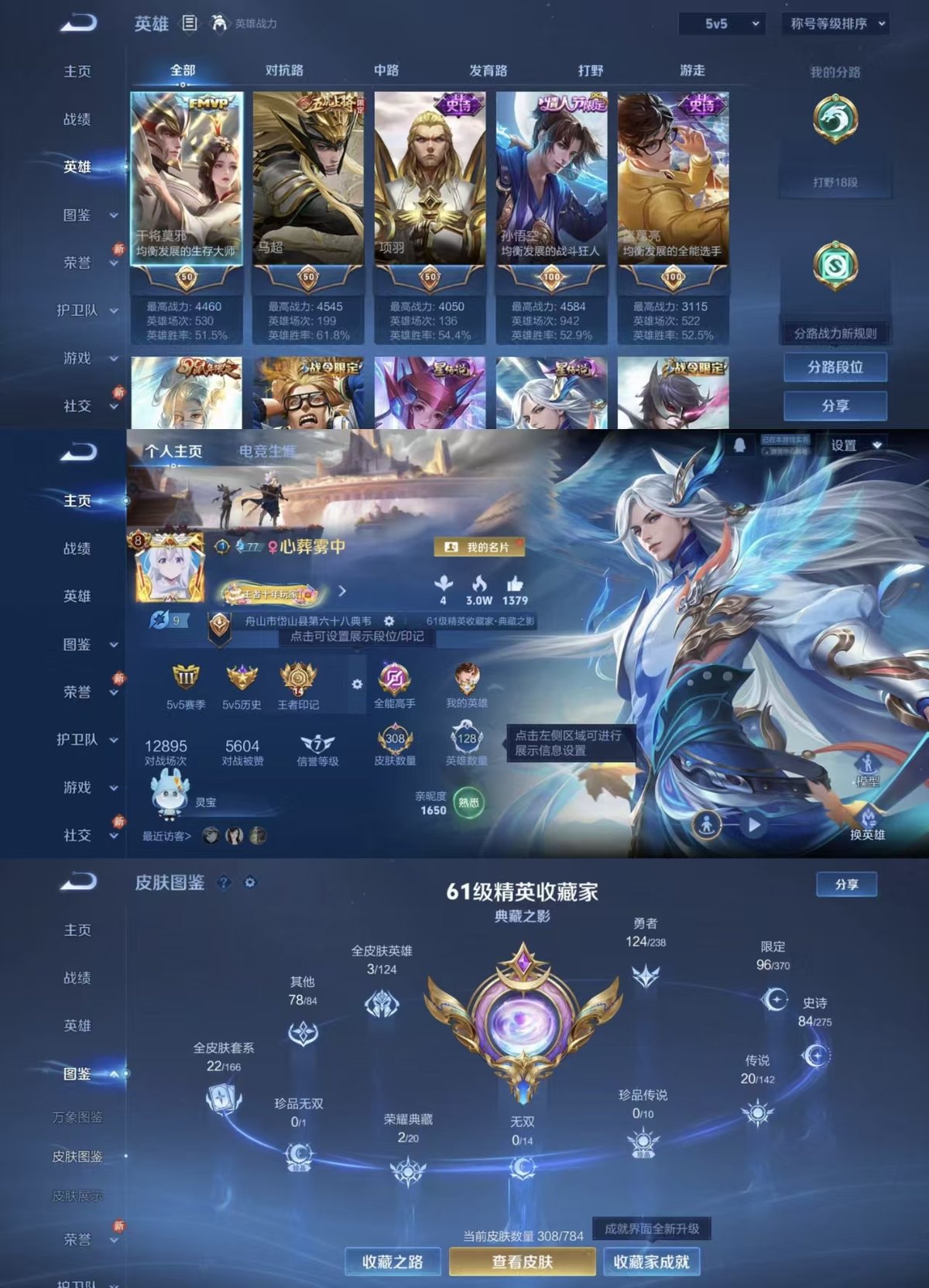 WZQM4249381王者荣耀账号详情图8