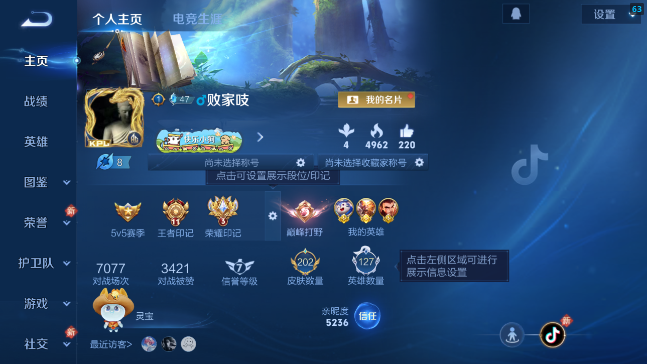 WZQM4250121王者荣耀账号详情图11