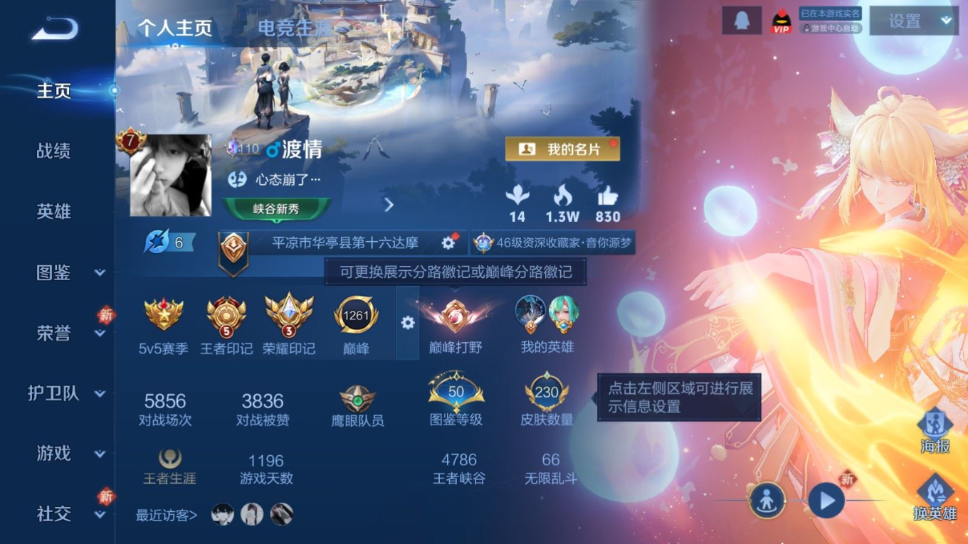 WZQM4256296王者荣耀账号详情图4