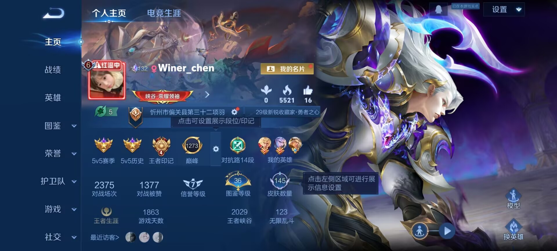 WZQM4256531王者荣耀账号详情图3 WZQM4256531王者荣耀账号详情图3