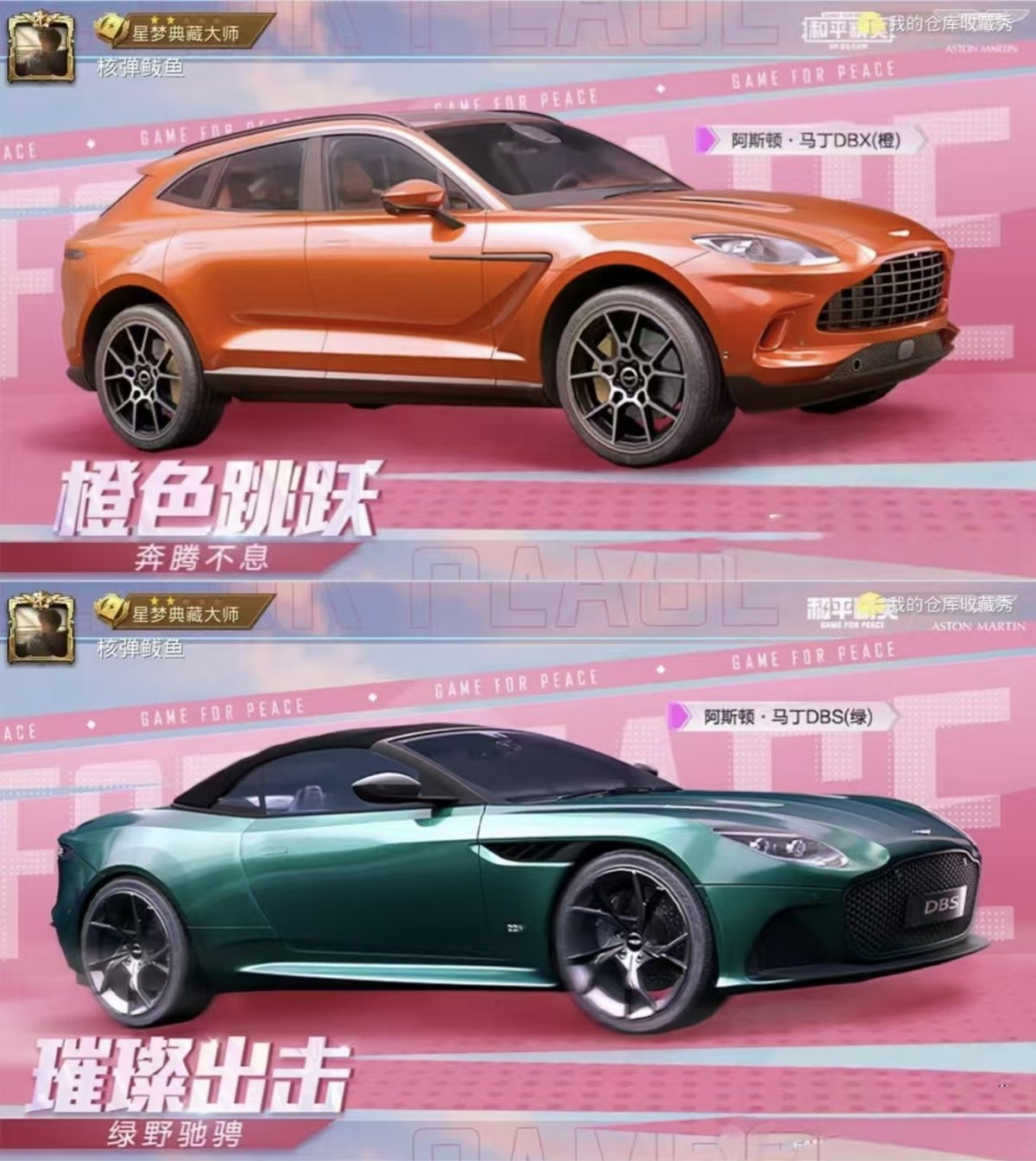 HPCMW4156026和平精英账号详情图5