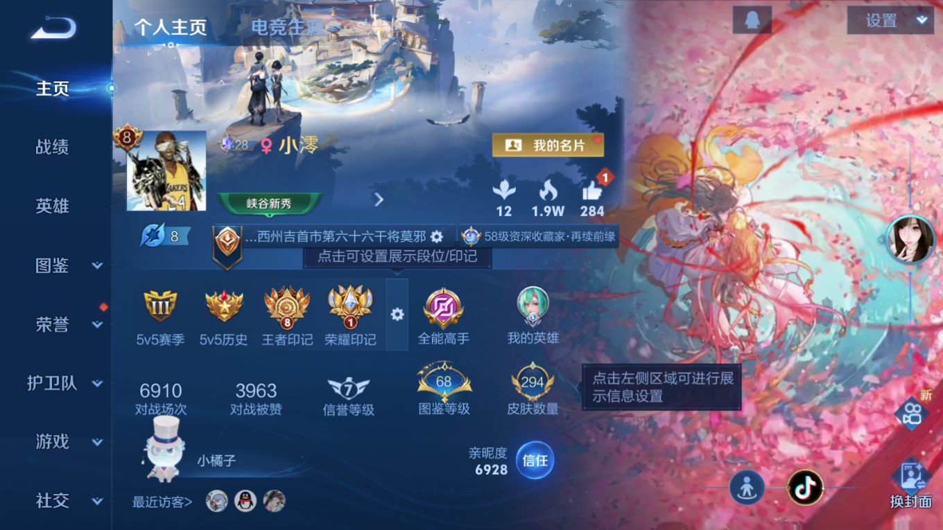 WZQM4259980王者荣耀账号详情图4