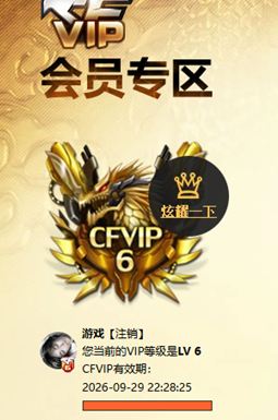 CFQM466983穿越火线账号详情图13