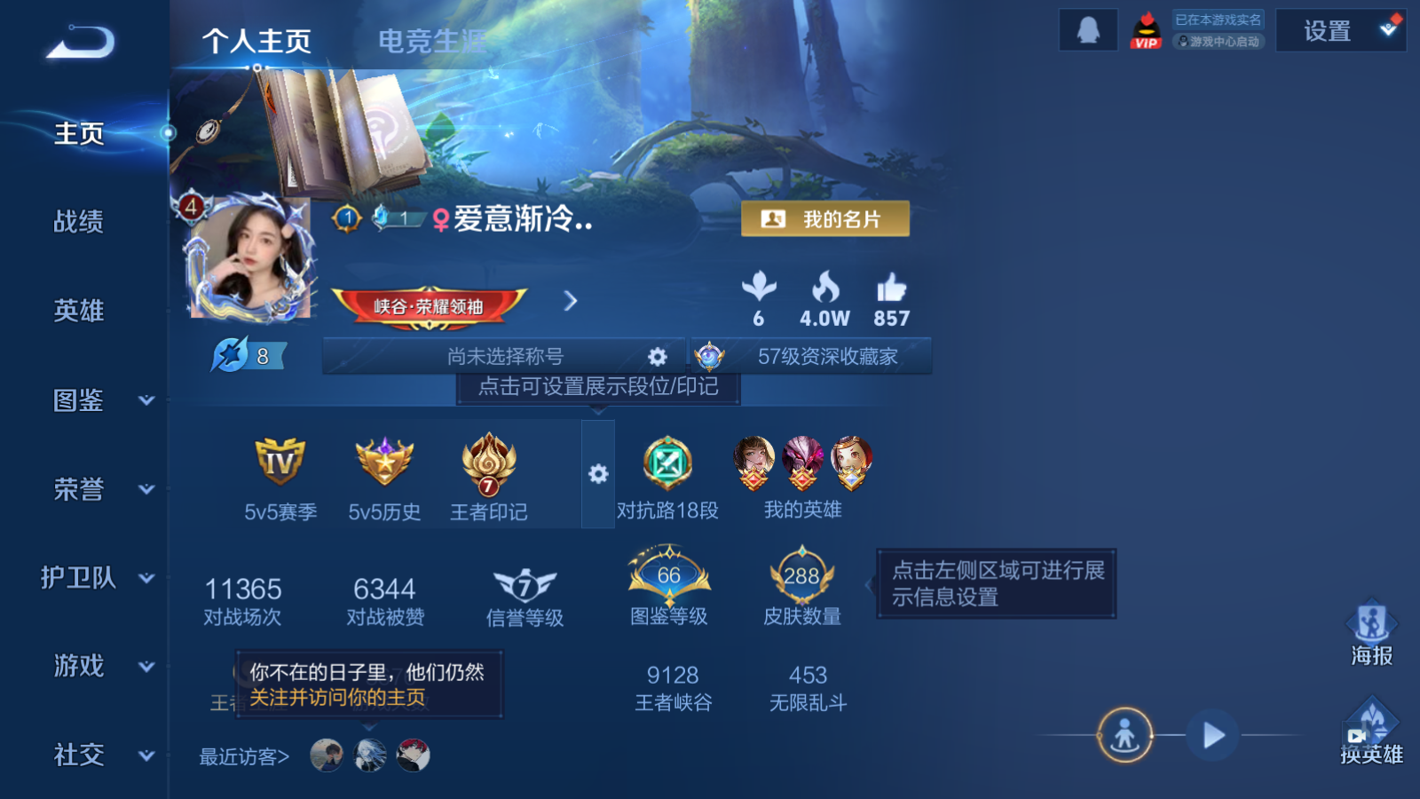 WZQM4275066王者荣耀账号详情图3