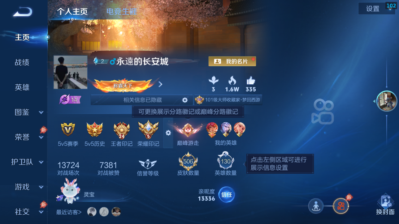 WZQM4289468王者荣耀账号详情图14