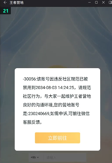 WZQM4300664王者荣耀账号详情图15