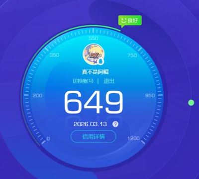 WZQM4286187王者荣耀账号详情图26