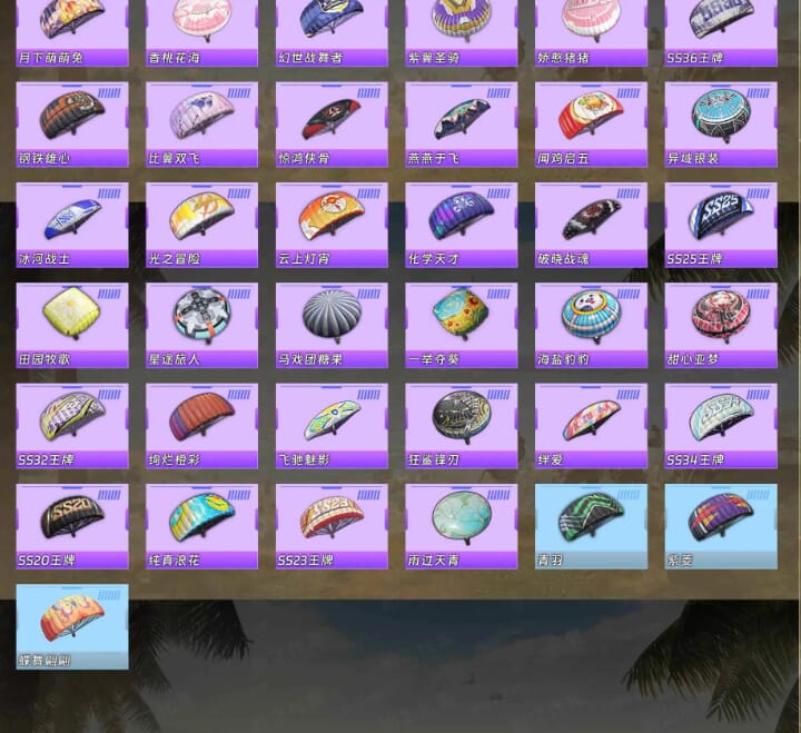 HPQM4164547和平精英账号详情图13 HPQM4164547和平精英账号详情图13