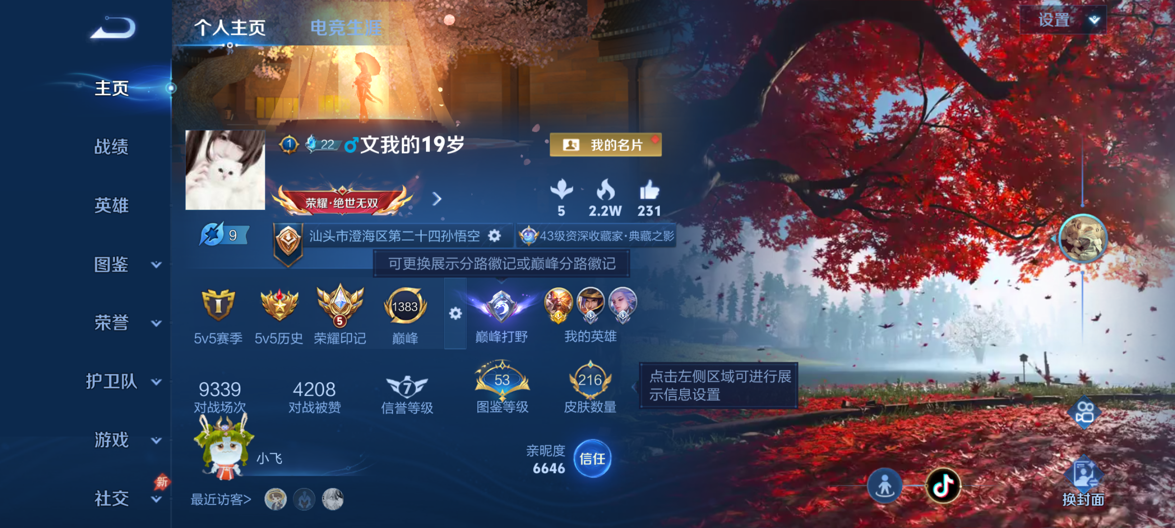 WZQM4301095王者荣耀账号详情图3