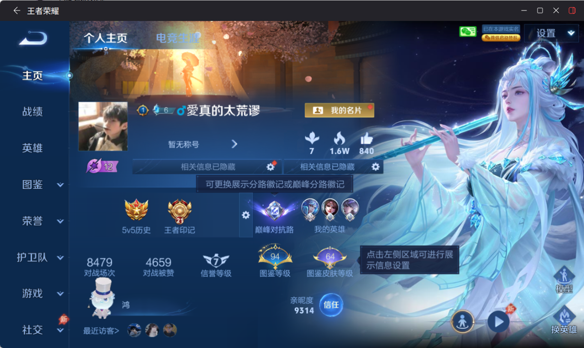 WZQM4309075王者荣耀账号详情图4