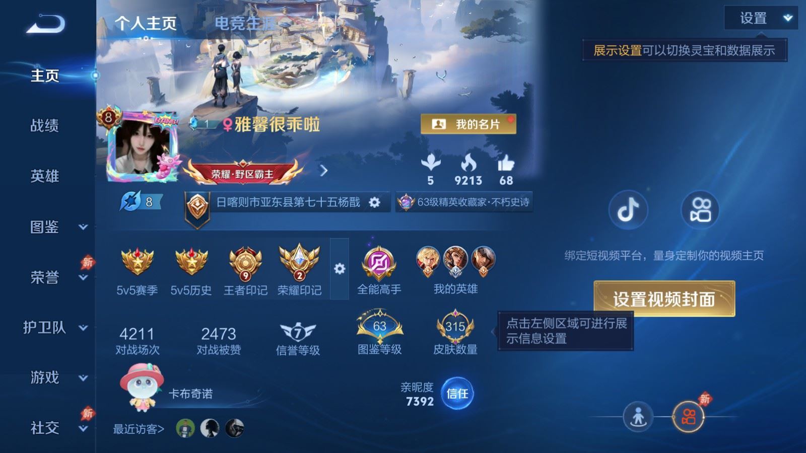 WZQM4311013王者荣耀账号详情图3