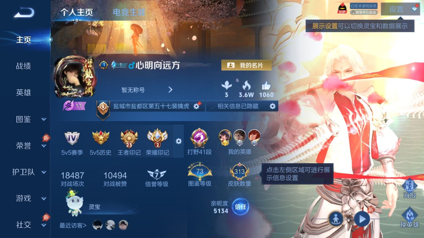 WZQM4312288王者荣耀账号详情图3