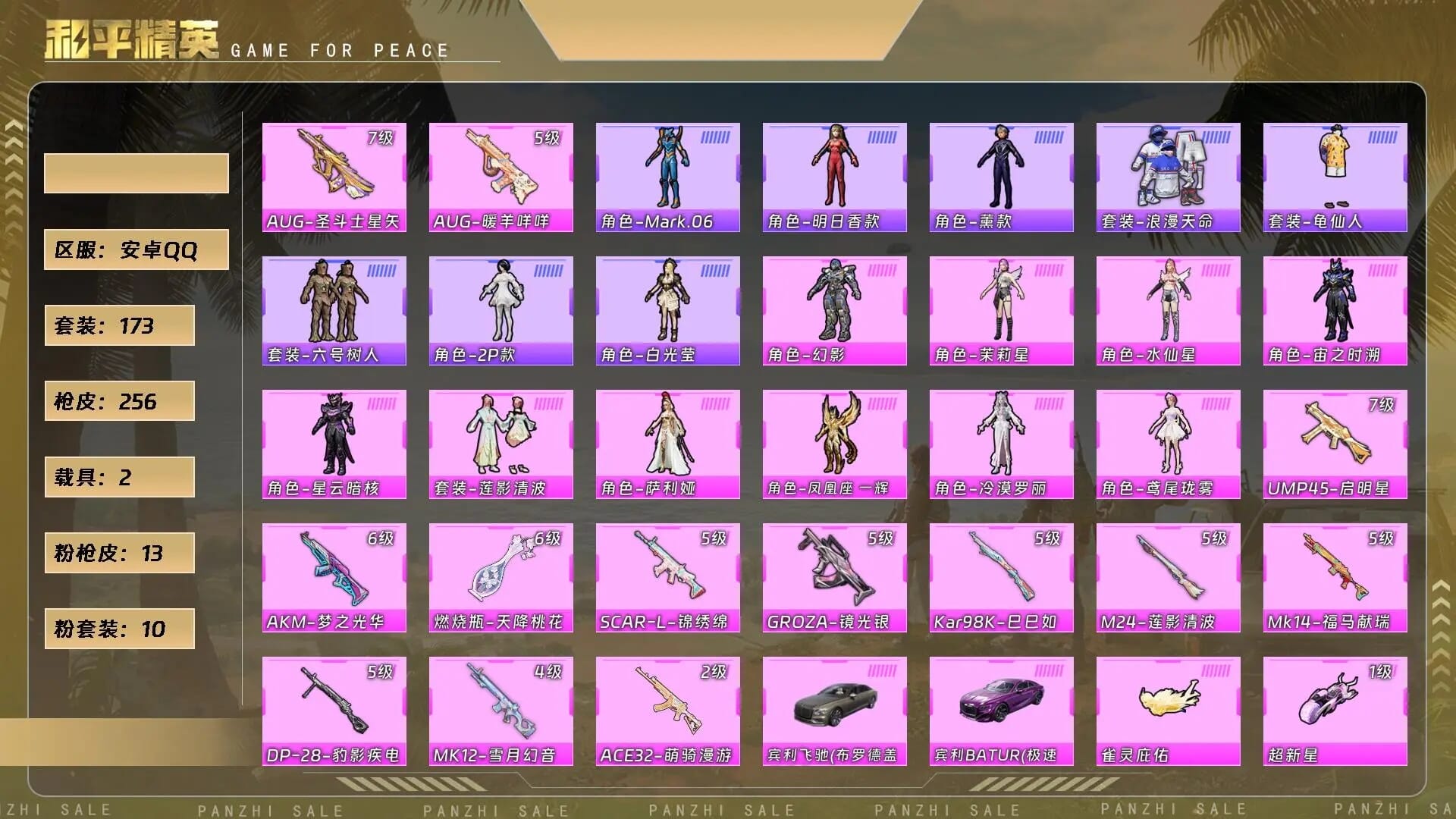 HPCMW4191243和平精英账号详情图3