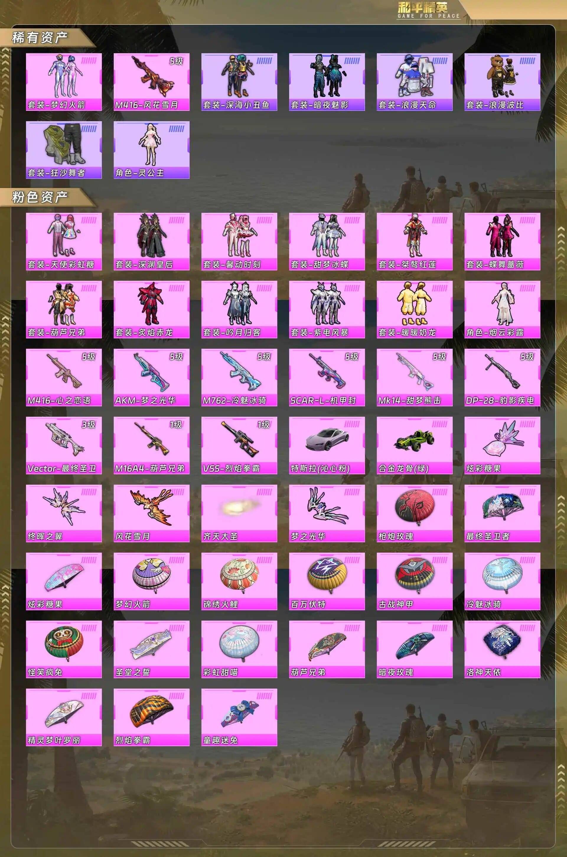 HPCMW4192177和平精英账号详情图3