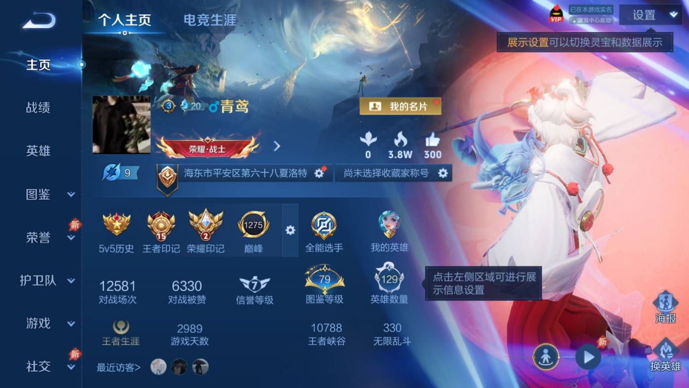 WZQM4315799王者荣耀账号详情图3