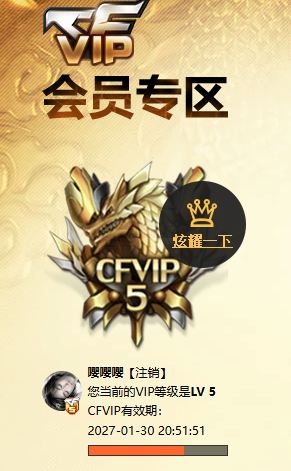 CFQM474622穿越火线账号详情图35