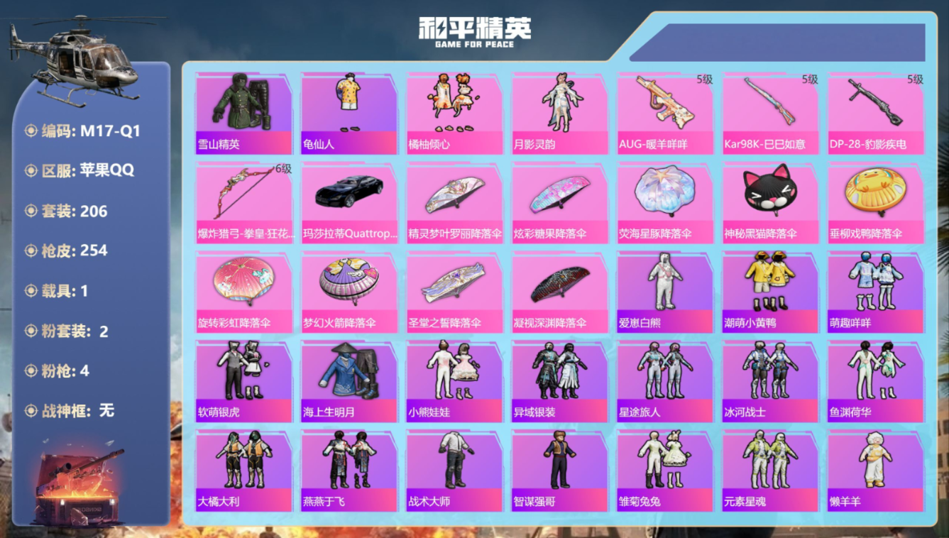 和平精英账号苹果QQ1载具-206套装-254枪皮-1稀有1载具2粉装4特效枪22热门205套装254枪皮 71785热