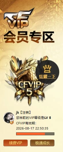 CFQM473939穿越火线账号详情图5