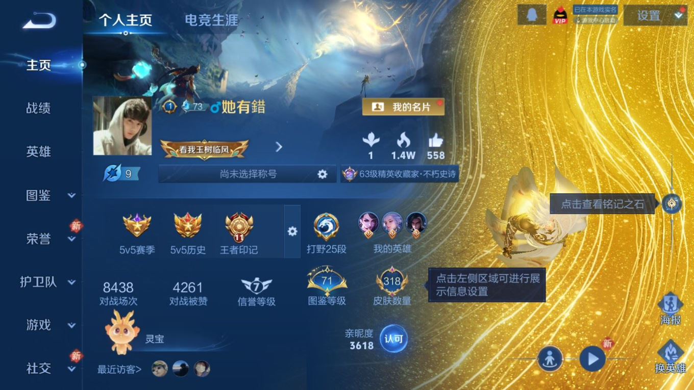 WZQM4331573王者荣耀账号详情图3