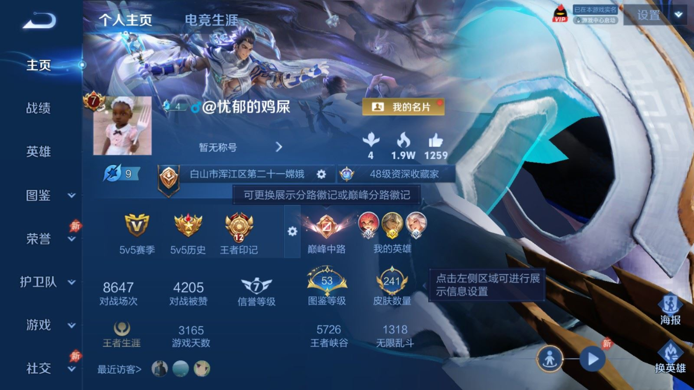WZQM4341372王者荣耀账号详情图12