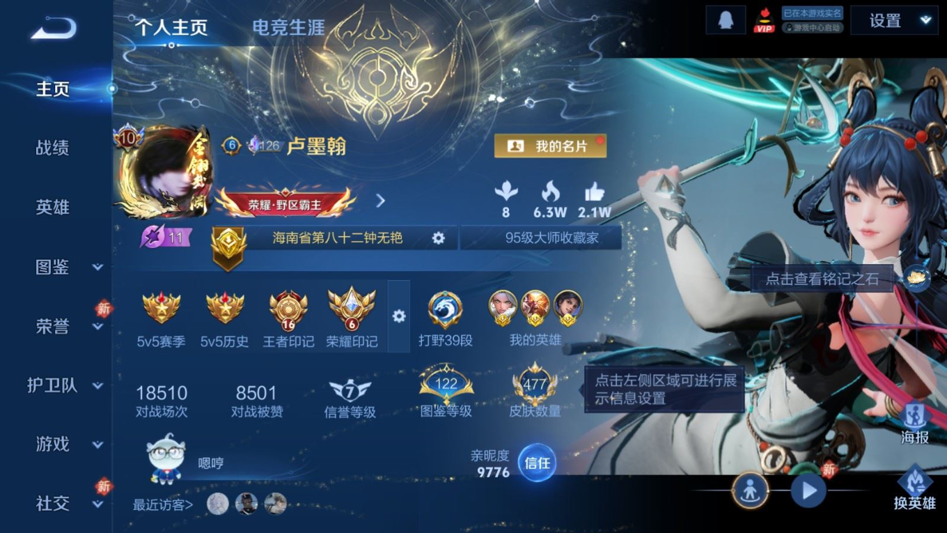 WZQM4343847王者荣耀账号详情图16