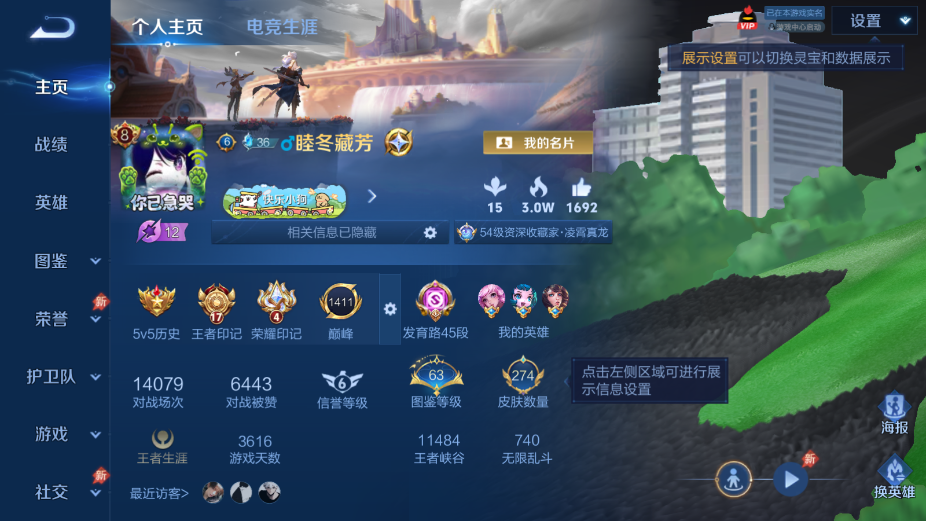 WZQM4349344王者荣耀账号详情图13