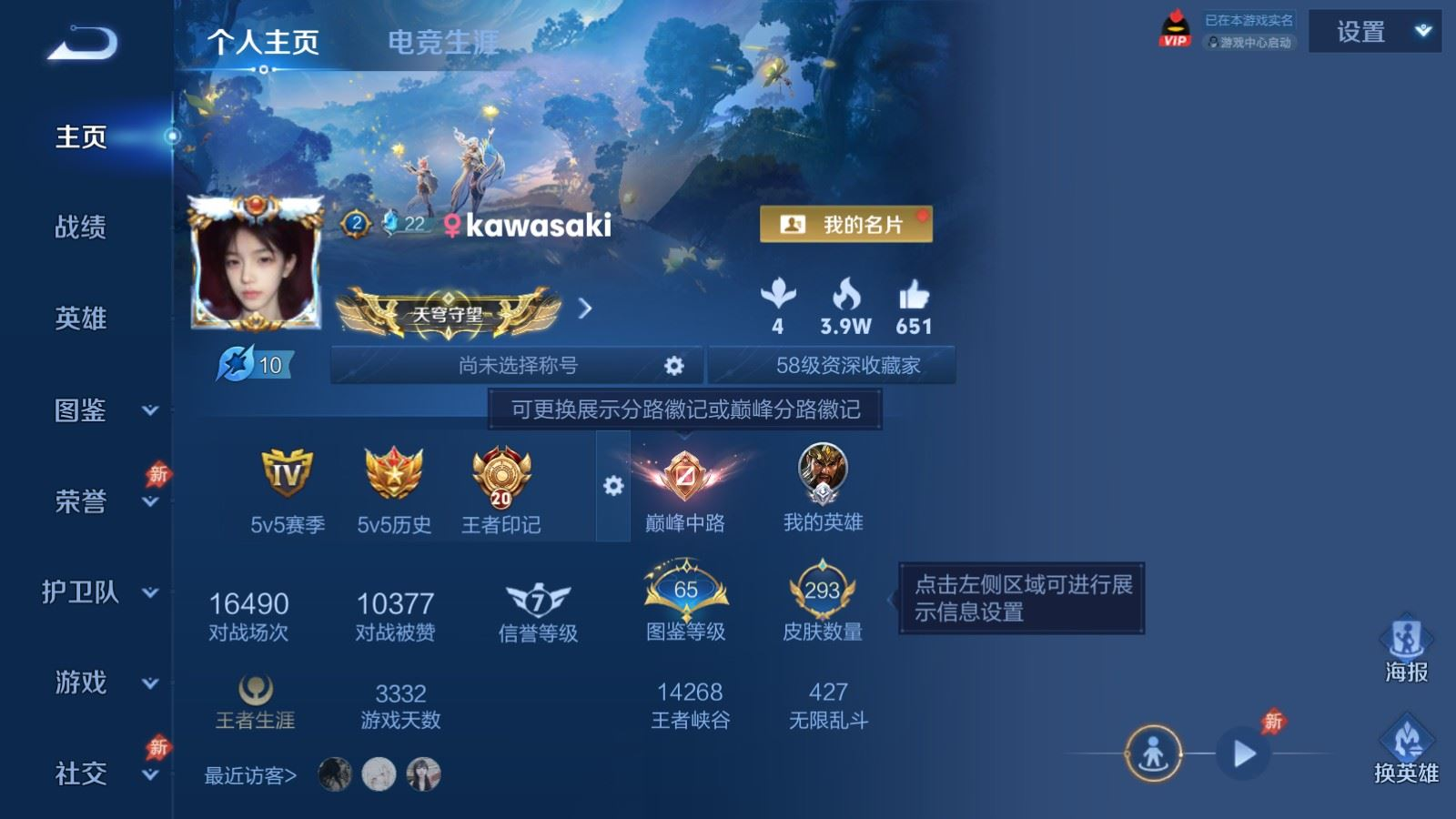 WZQM4349869王者荣耀账号详情图19