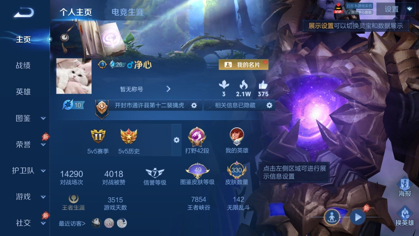 WZQM4352739王者荣耀账号详情图18
