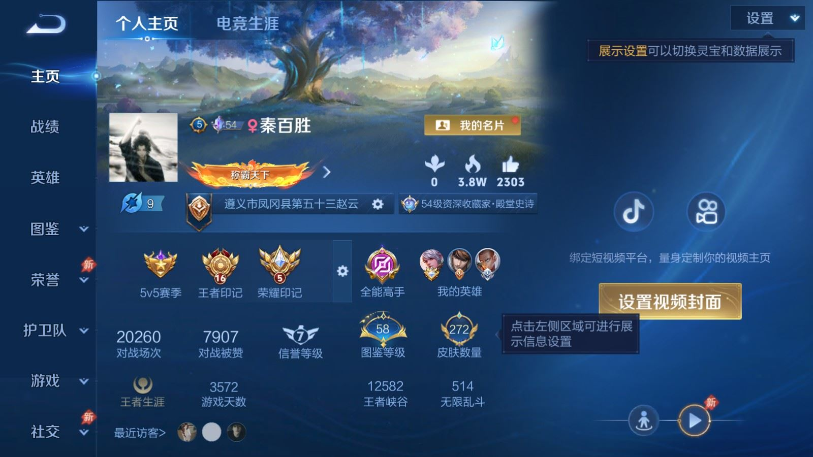 WZQM4357904王者荣耀账号详情图9