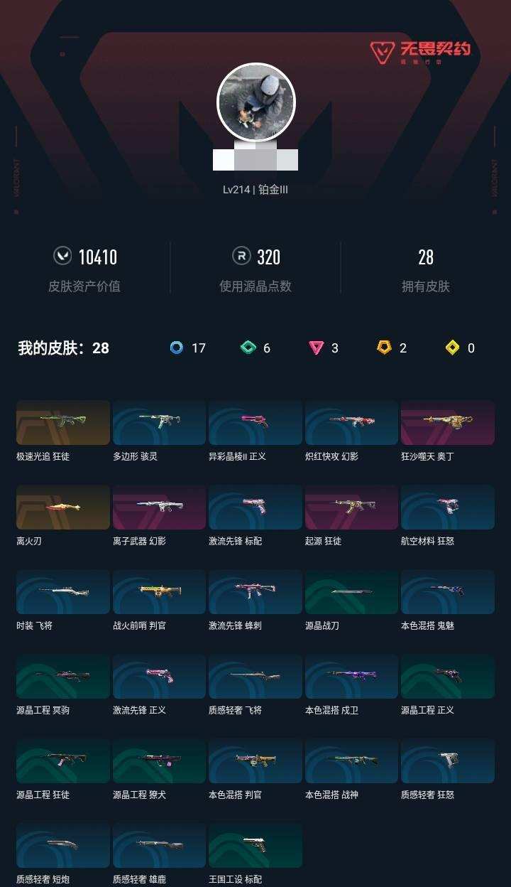 实名: 可修改 实名人: 不是本人 皮肤资...