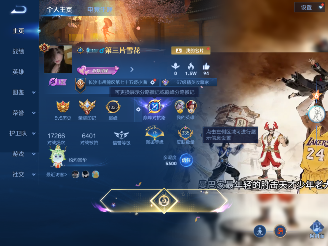 WZQM4367655王者荣耀账号详情图7 WZQM4367655王者荣耀账号详情图7