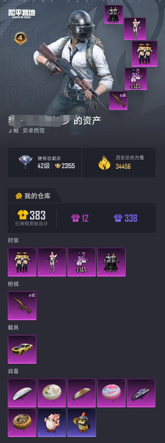 WZLX4375712王者荣耀账号详情图2 WZLX4375712王者荣耀账号详情图2