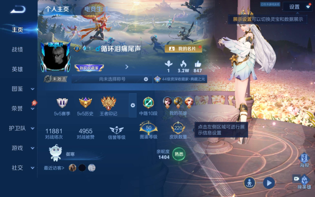 WZQM4371841王者荣耀账号详情图3