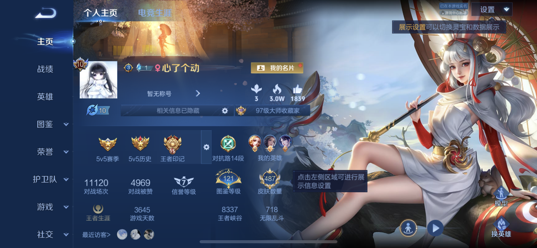 WZLX4388865王者荣耀账号详情图22