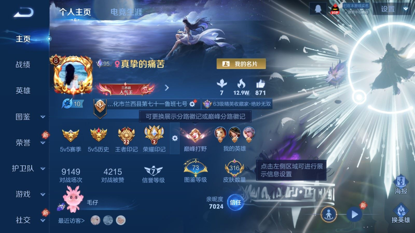 WZQM4374881王者荣耀账号详情图12 WZQM4374881王者荣耀账号详情图12