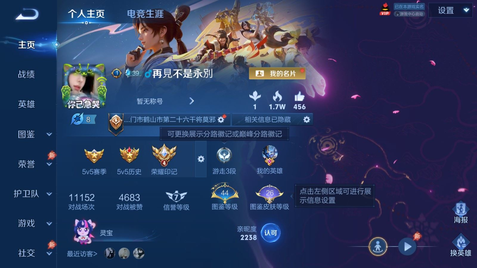 WZQM4377991王者荣耀账号详情图17 WZQM4377991王者荣耀账号详情图17