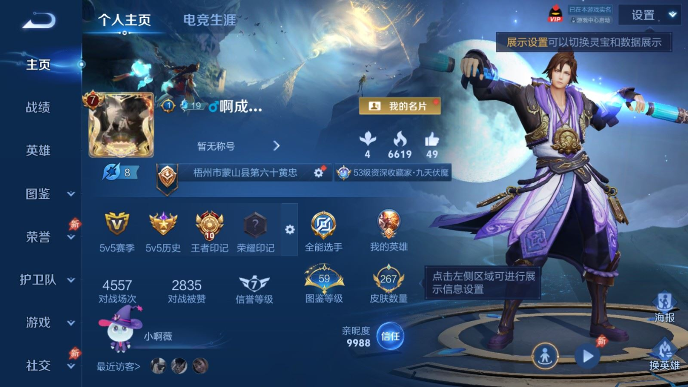 WZQM4378041王者荣耀账号详情图12