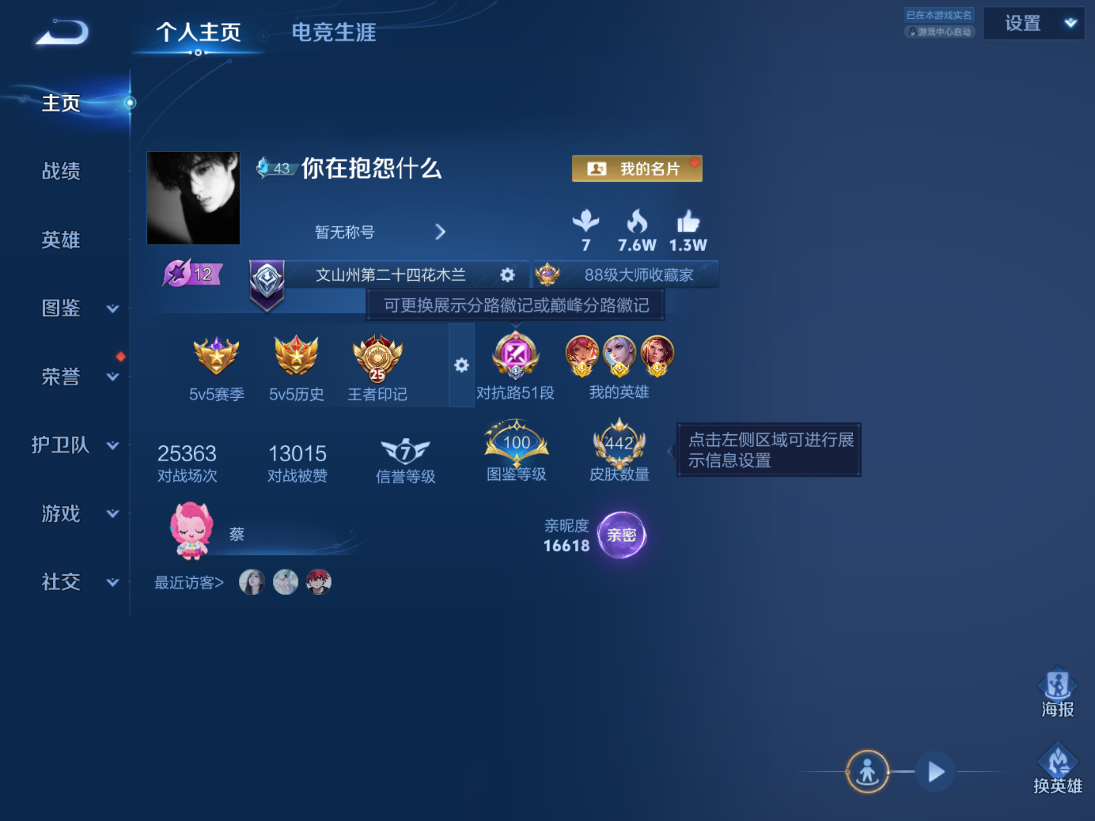 WZQM4378562王者荣耀账号详情图17 WZQM4378562王者荣耀账号详情图17