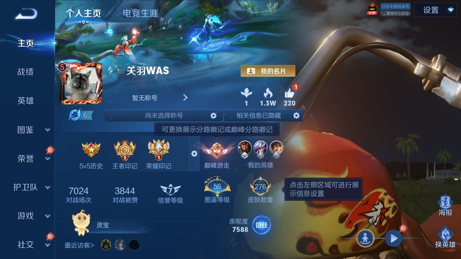 WZQM4378595王者荣耀账号详情图17 WZQM4378595王者荣耀账号详情图17