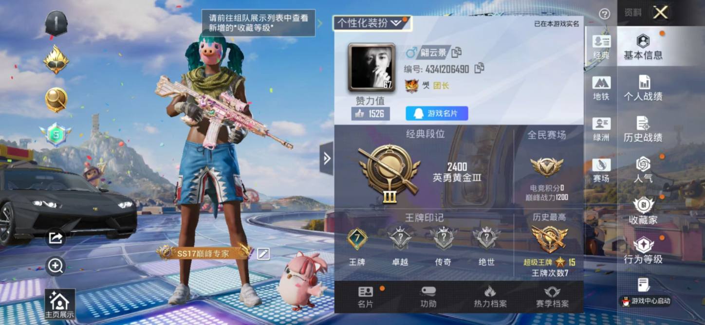 大图