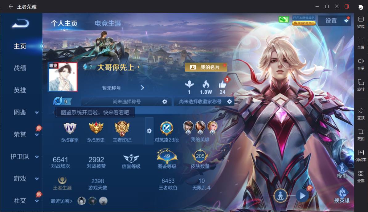 大图